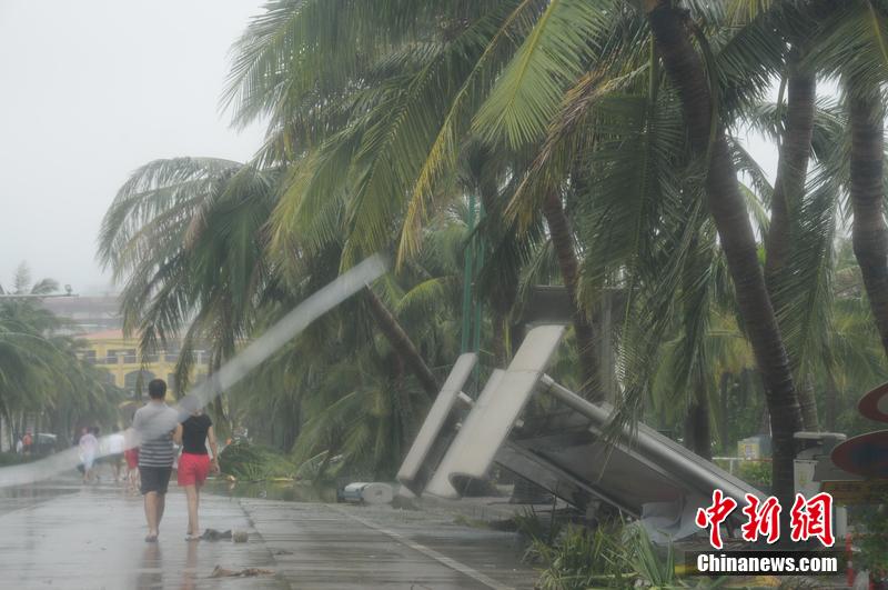 雷州台风最新动态更新