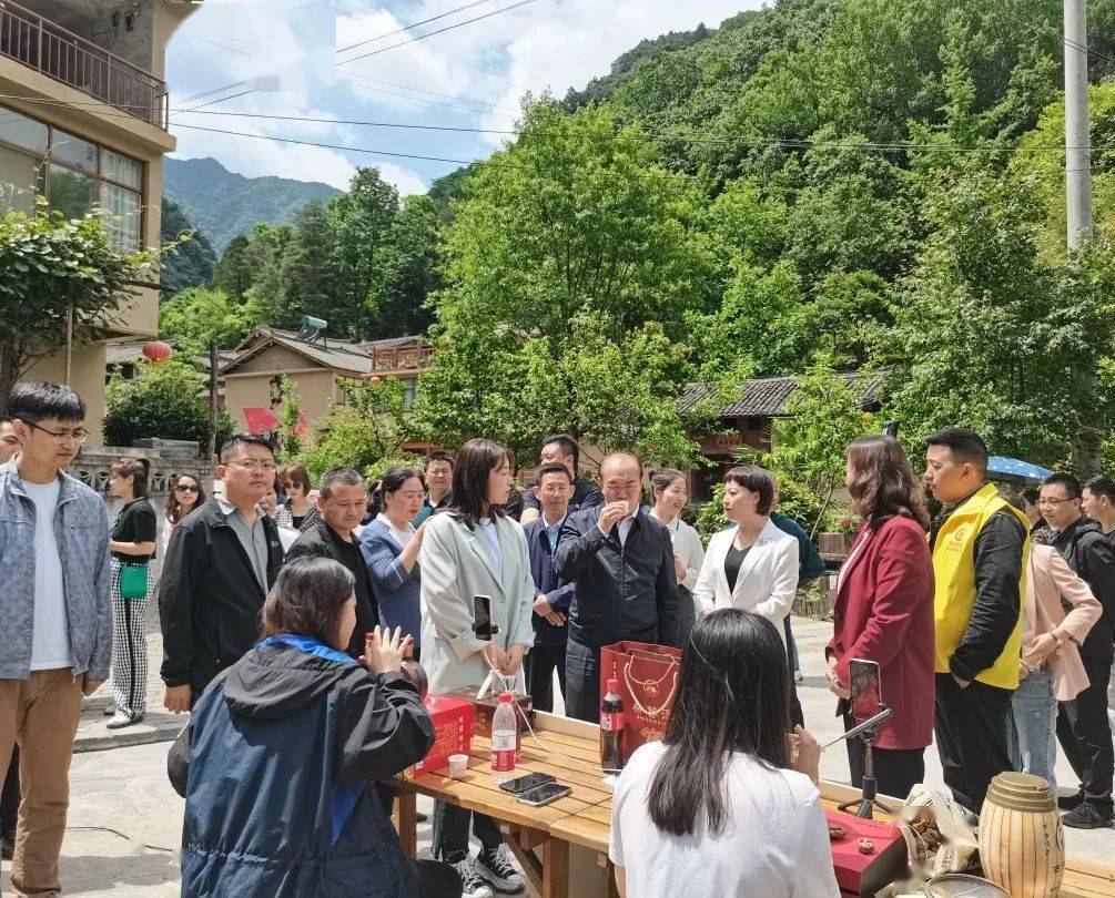 禅寺新时代探索，现场直播与最新发展