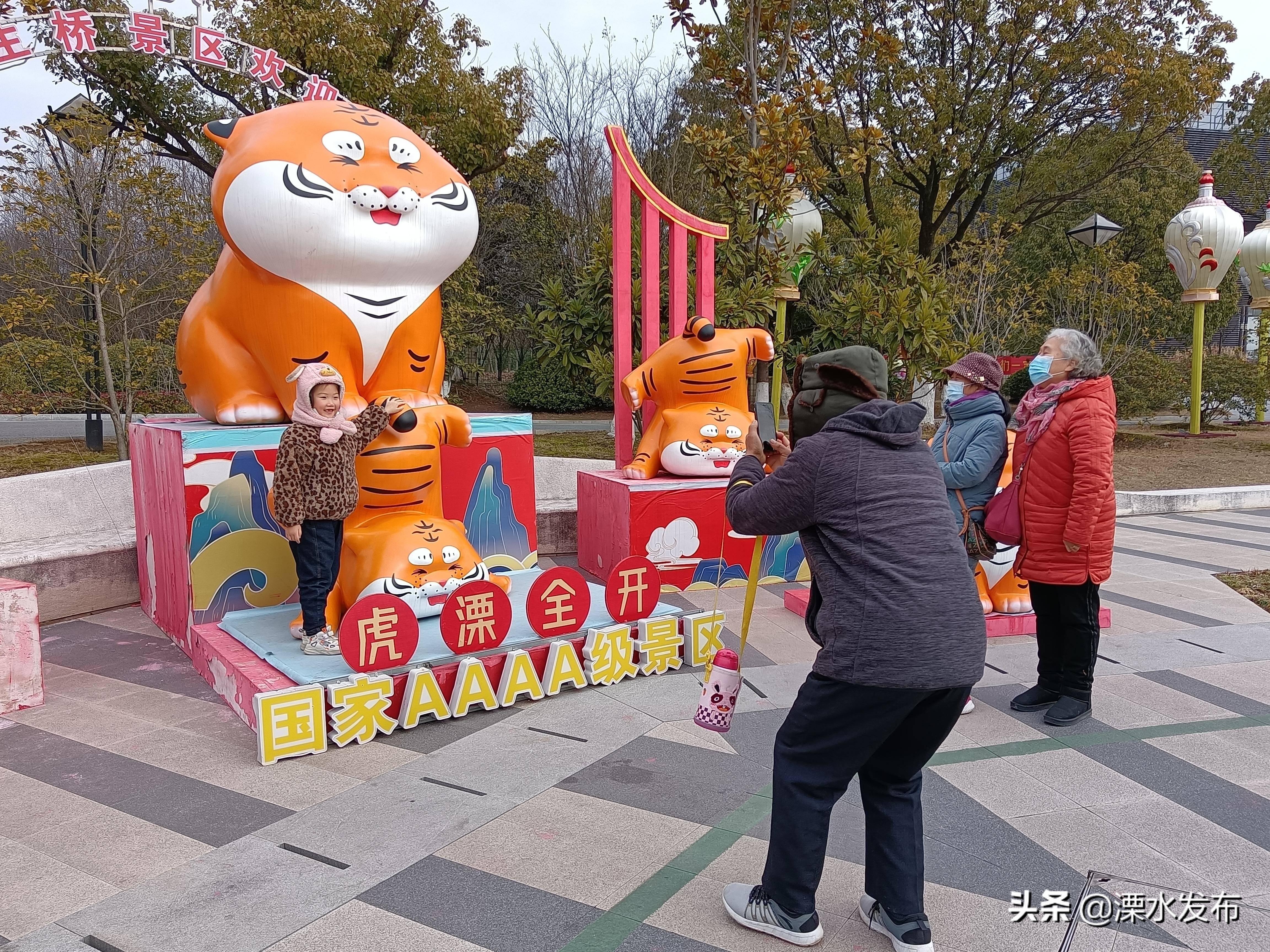 溧水凤凰小镇房价动态与市场趋势解析