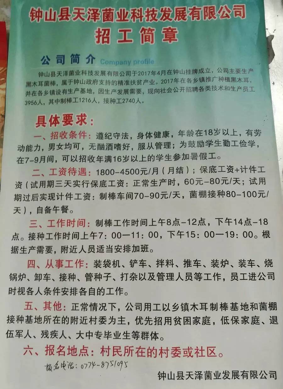 高唐招工最新消息，天工引领地方就业新动向