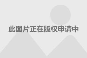 男性退休年龄最新规定2017，社会政策与经济因素的均衡考量