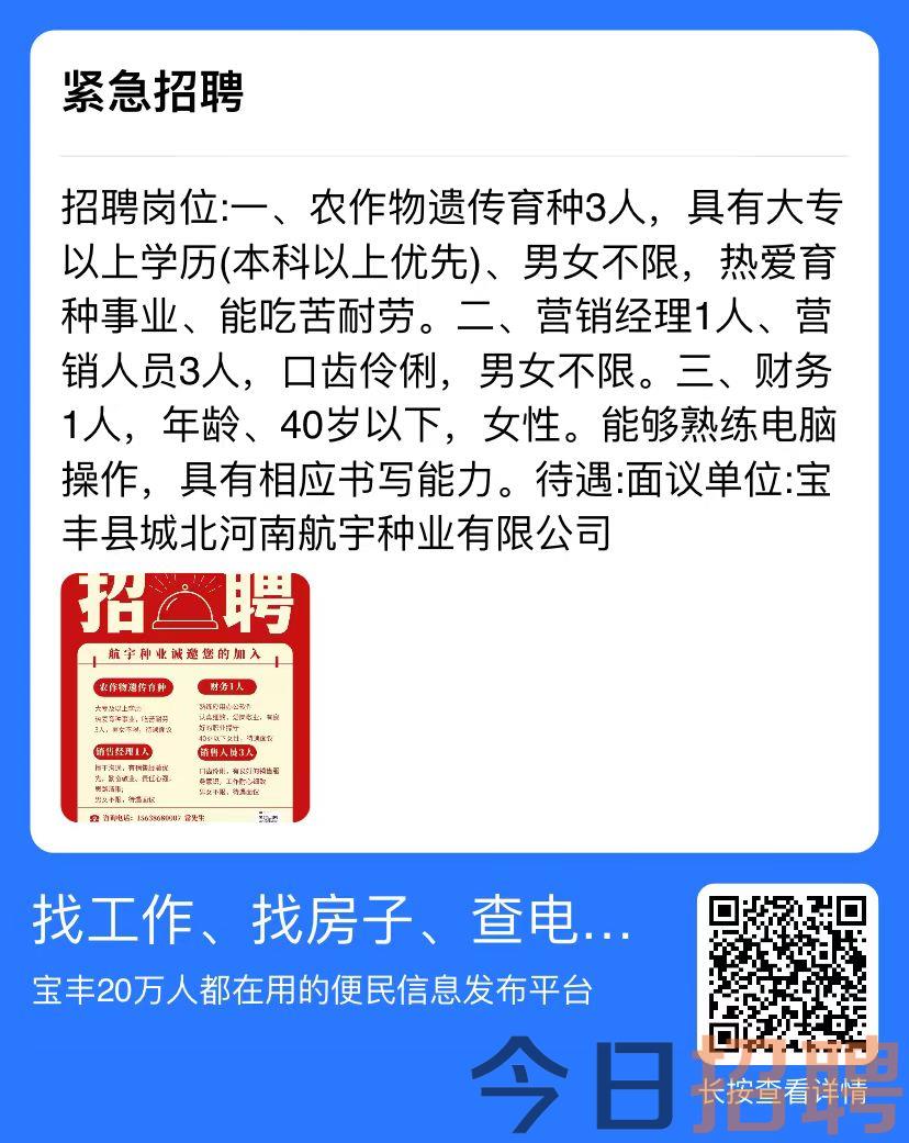 灵宝市最新招聘信息全面解析