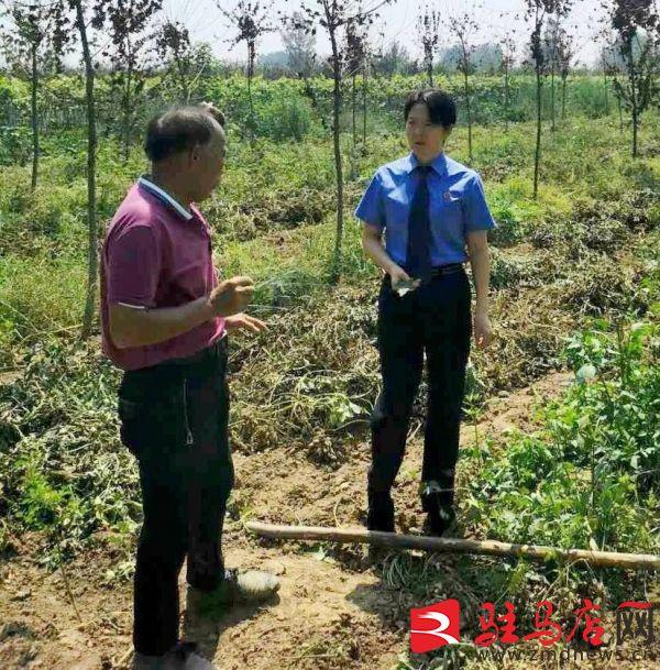 遂平白云纸业最新招聘启事，寻找优秀人才加入我们的团队！