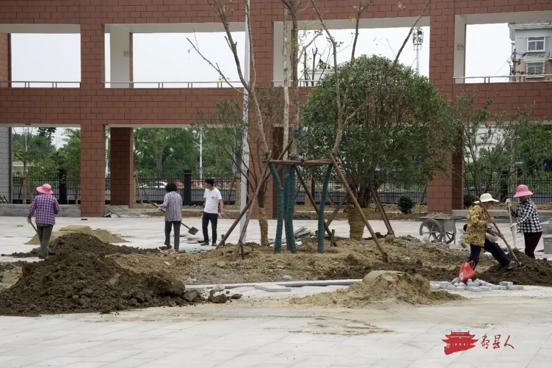 寿县花园小学最新动态报道