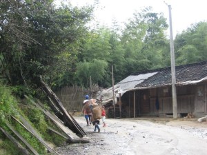 探索小草坝三道村，最新图片揭秘与解读