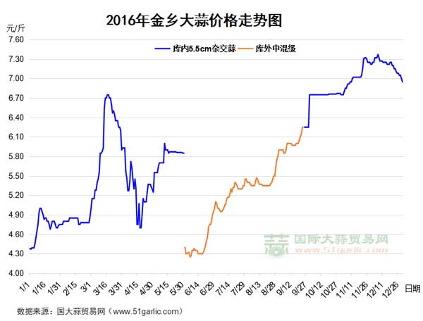 金乡大蒜价格走势图与影响因素深度解析