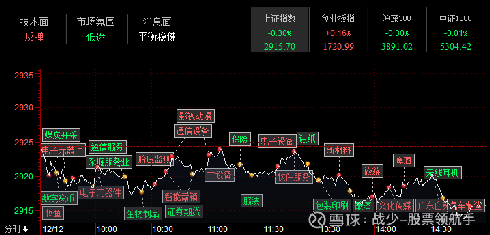 2024年11月21日 第8页