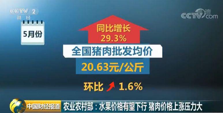 猪肉市场最新动态，价格走势、影响因素及未来预测分析